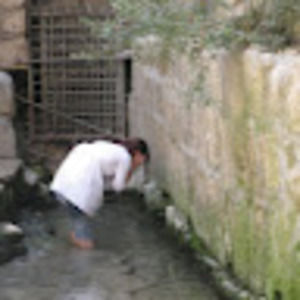 Meet your Posher, Cassie